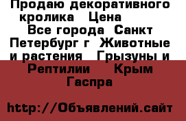 Продаю декоративного кролика › Цена ­ 500 - Все города, Санкт-Петербург г. Животные и растения » Грызуны и Рептилии   . Крым,Гаспра